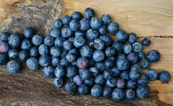 are blueberries safe for small dogs